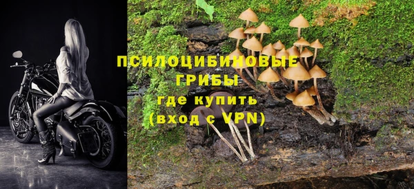 индика Кодинск