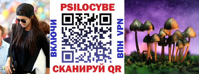 Купить закладки  Горняк  Псилоцибиновые грибы прущие грибы 